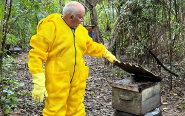 Produção de mel ganha força com profissionalização do manejo em Itaipava do Grajaú (MA)