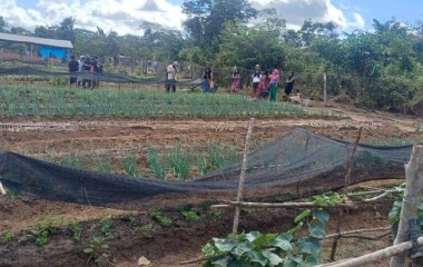Projeto “Raízes de Renda” é lançado para fortalecer agricultura familiar e sustentabilidade em aldeia de Grajaú