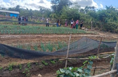 Projeto “Raízes de Renda” é lançado para fortalecer agricultura familiar e sustentabilidade em aldeia de Grajaú